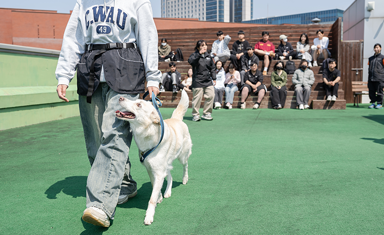 바이오동물보건과 관련이미지3