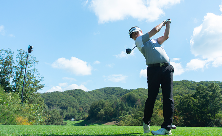 파크골프산업과 관련이미지1